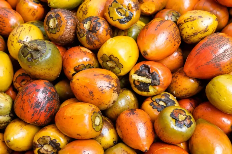 Tropical Fruit and Local Craft